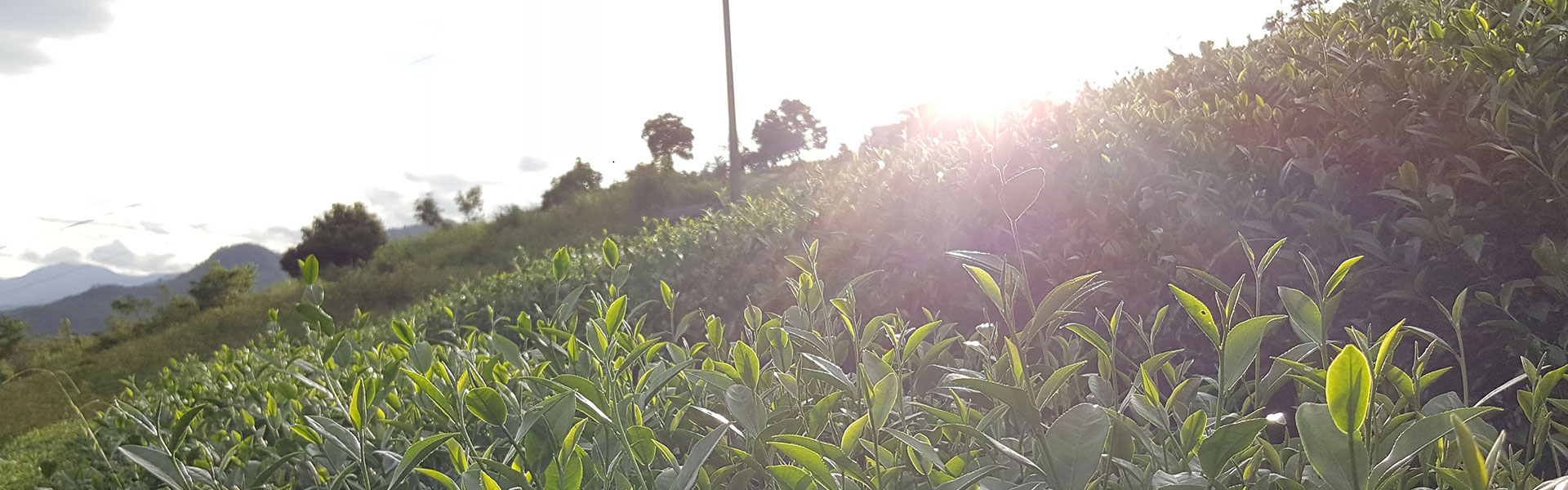 雨過天青